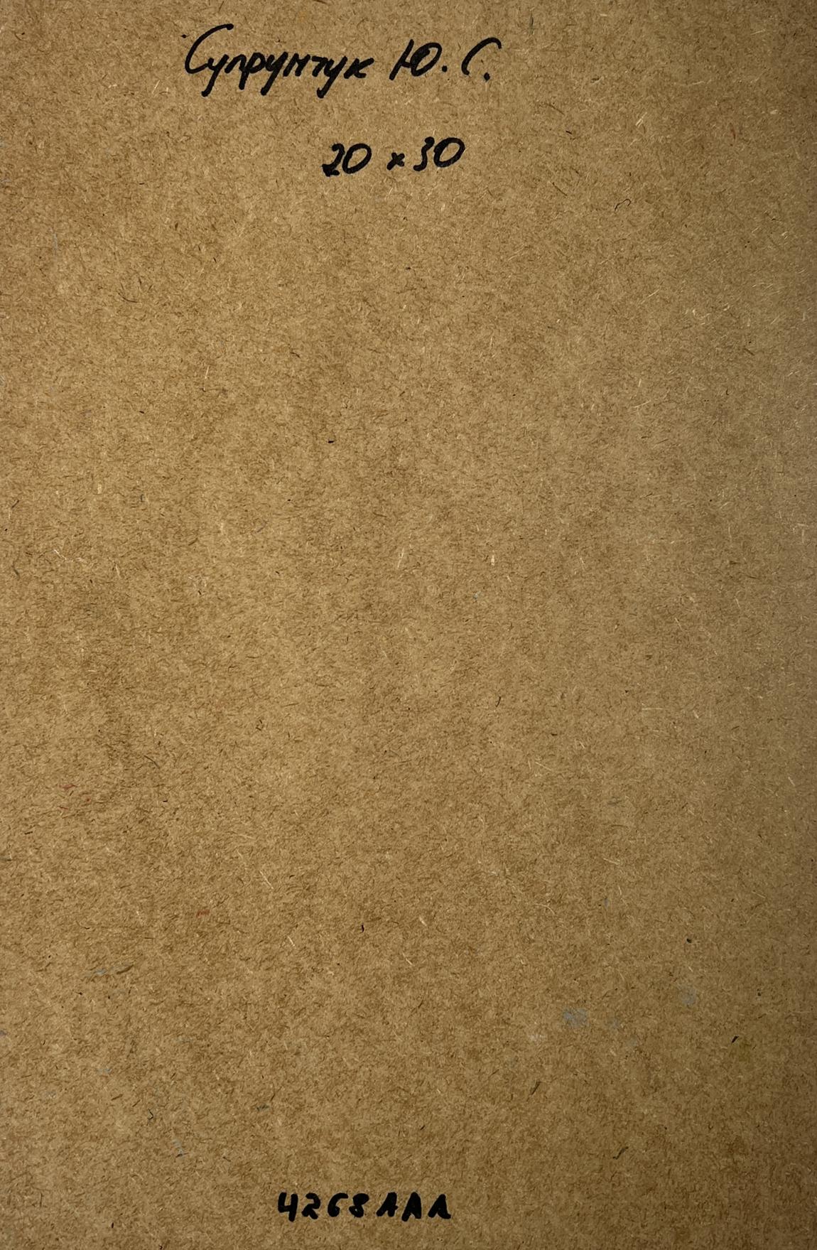 Back of Oil painting Shadows of Old Venice Yuriy Suprunchuk: brown cardboard with Cyrillic text and measurements