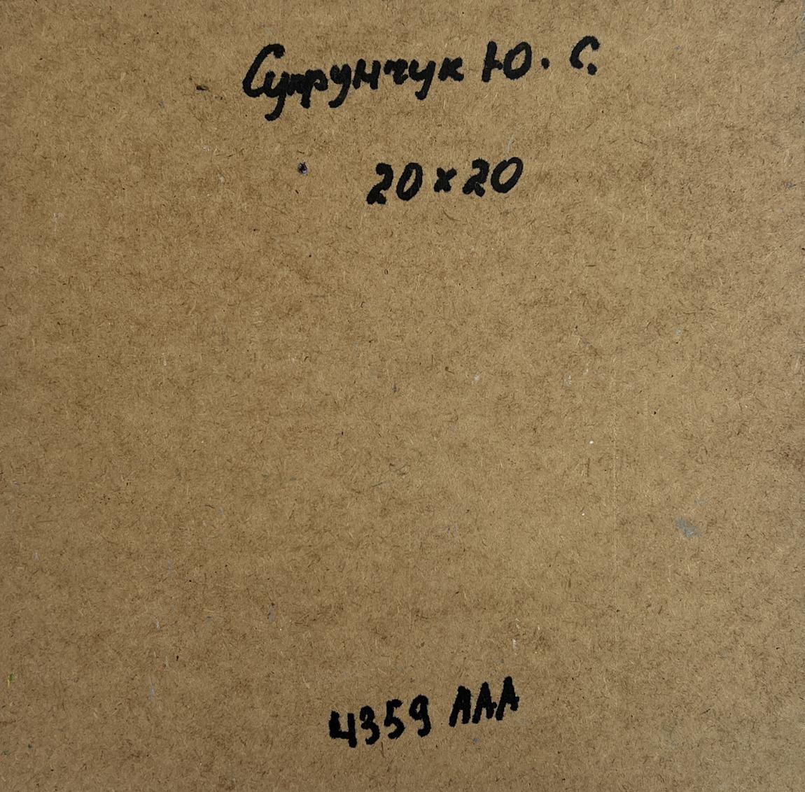 Back of Yuriy Suprunchuk oil painting House near the river with Cyrillic text and measurements on brown cardboard