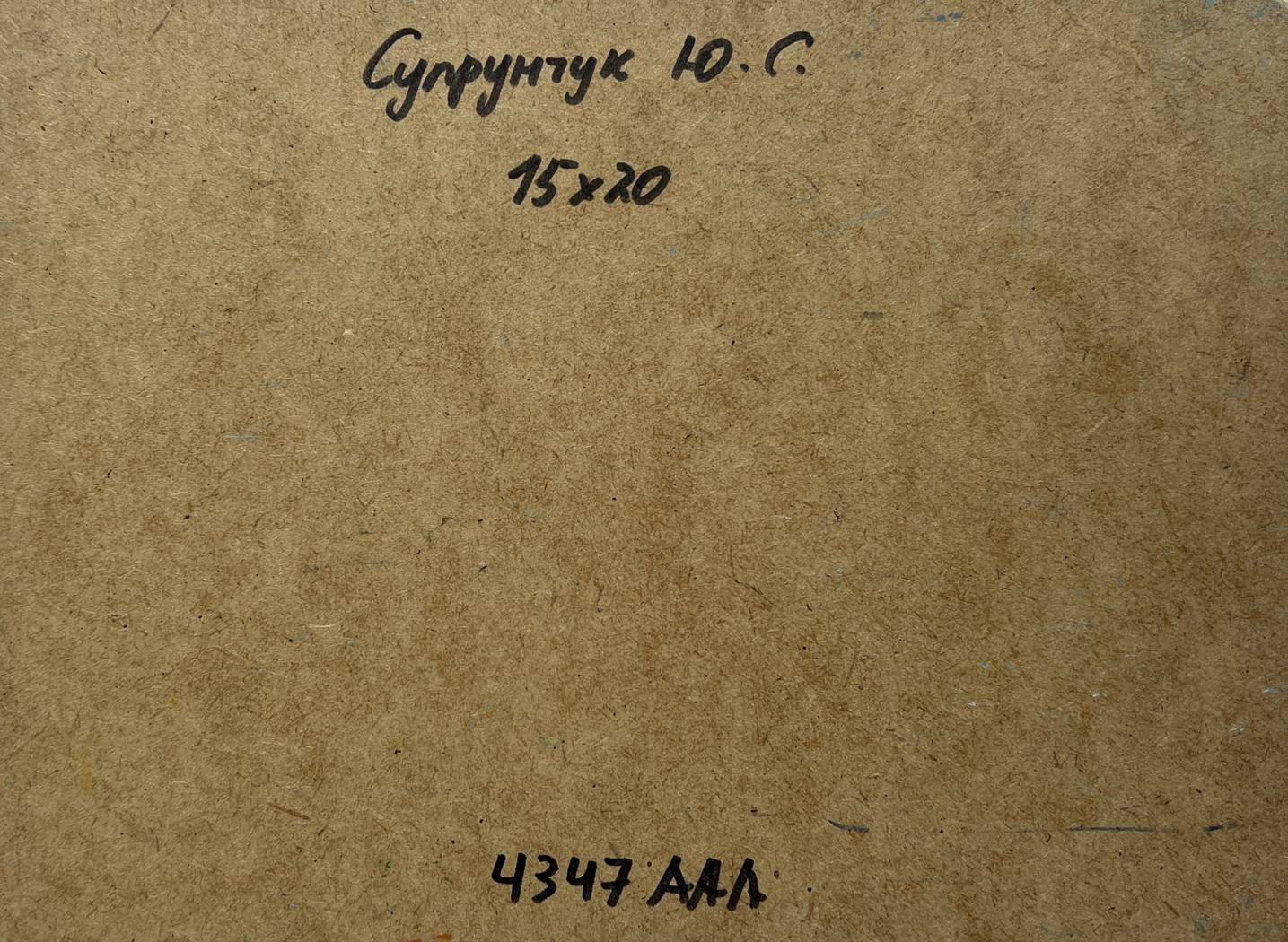 Back of Yuriy Suprunchuk Oil painting Summer in green banks with brown cardboard handwritten Cyrillic text and measurements