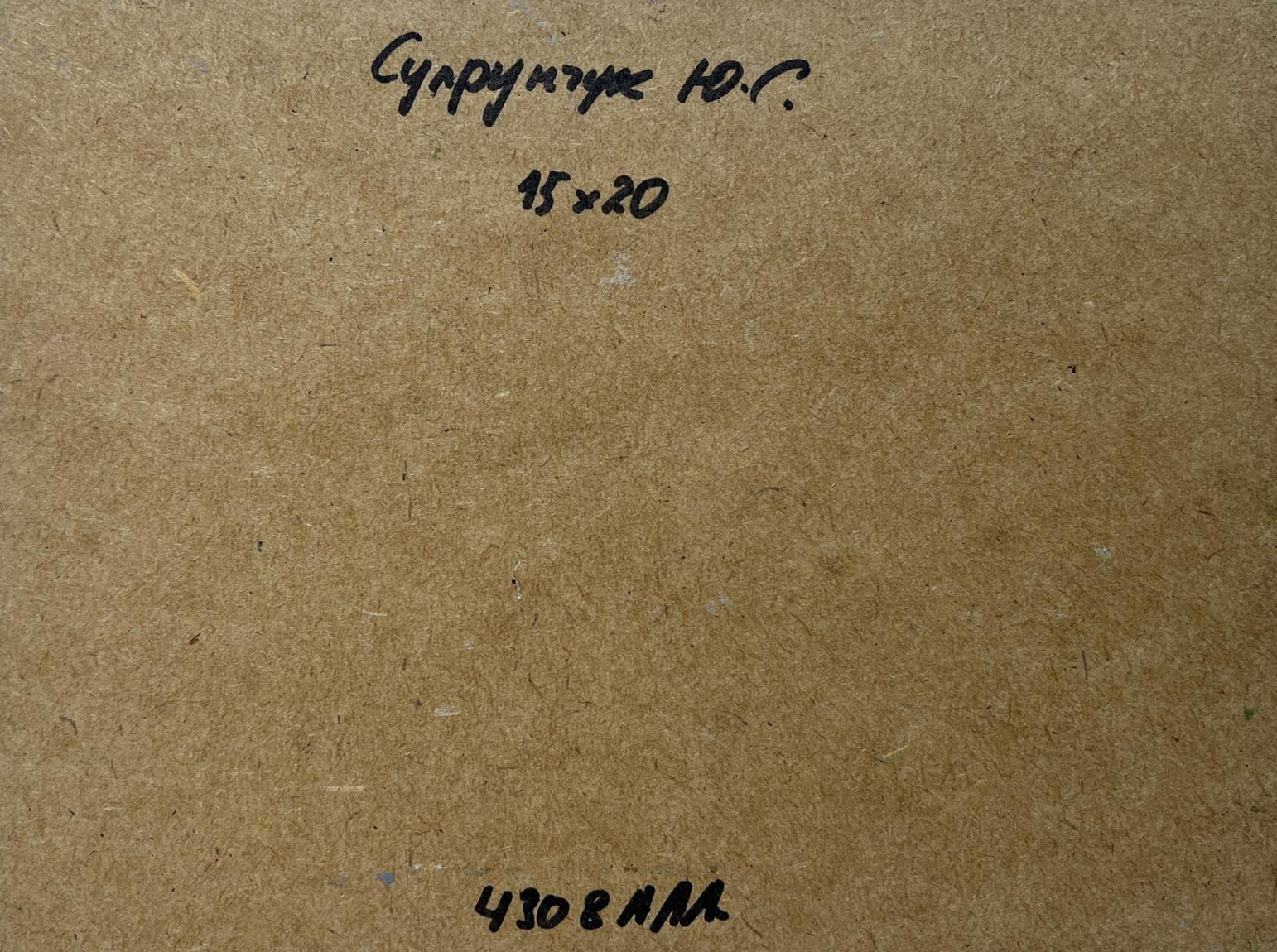 Back of Yuriy Suprunchuk oil painting Wild flowers near the house with handwritten Cyrillic text and measurements on brown cardboard