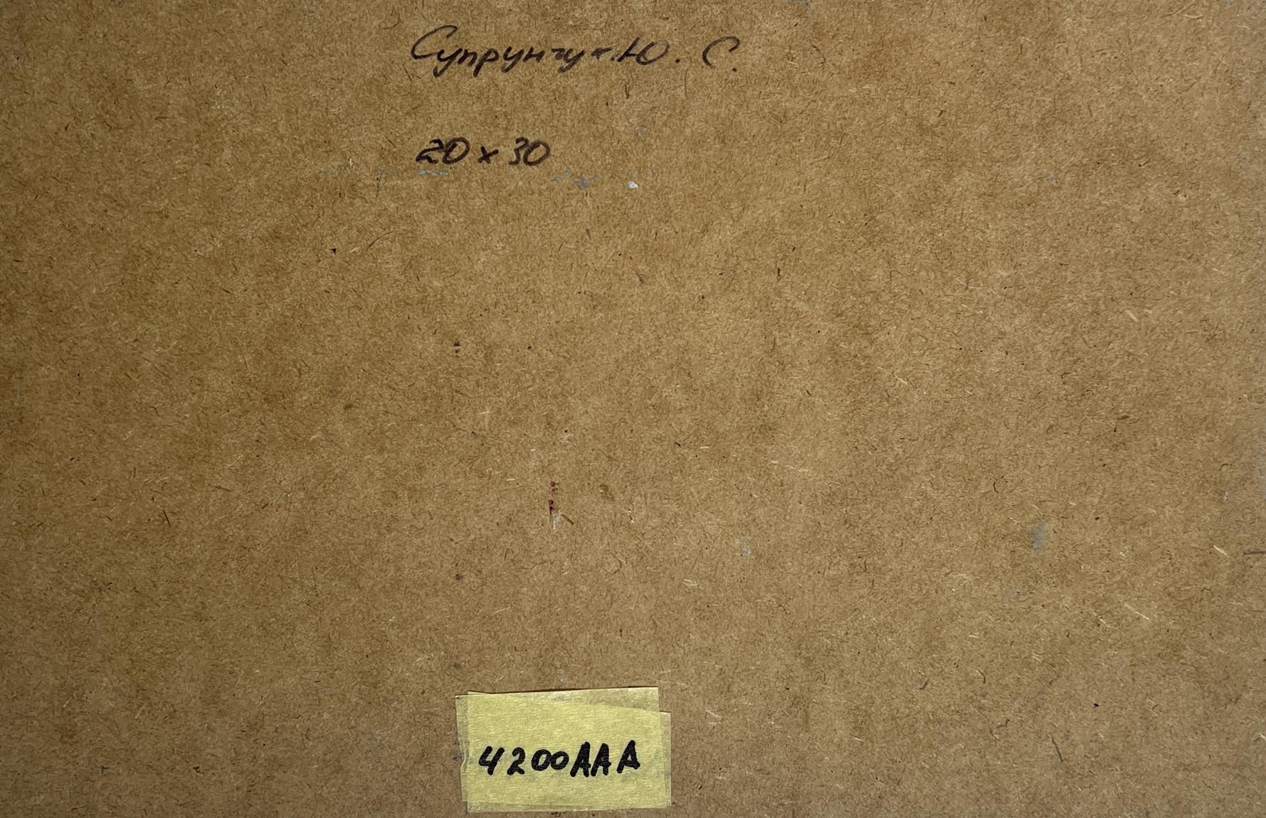 Back of Yuriy Suprunchuk cozy winter evening oil painting with Cyrillic text and 420aaa note