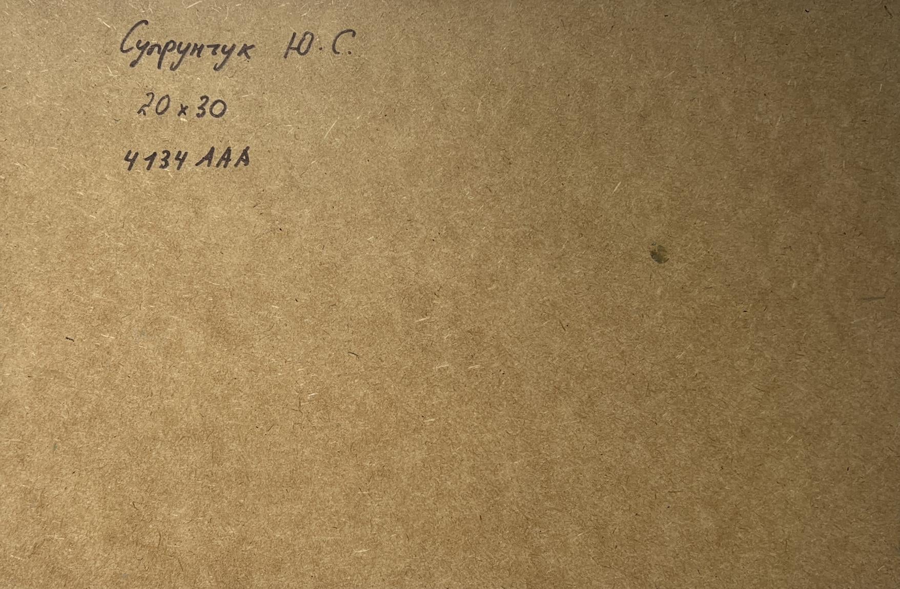 Back of Yuriy Suprunchuk oil painting Seagulls over sea with Cyrillic text