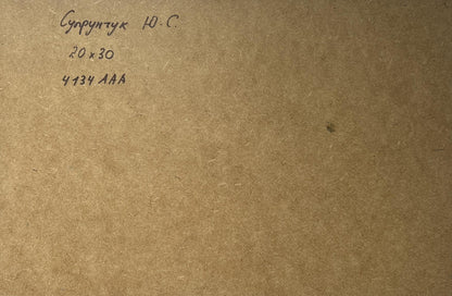 Back of Yuriy Suprunchuk oil painting Seagulls over sea with Cyrillic text