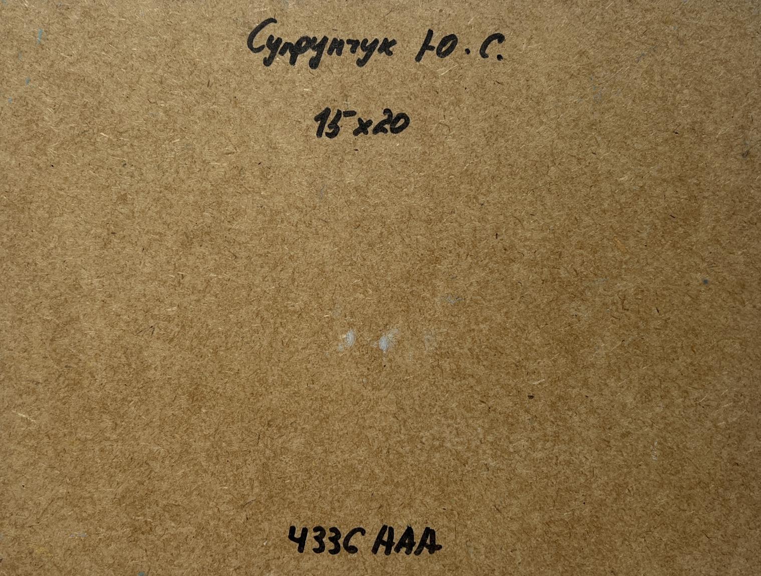 Back of Yuriy Suprunchuk oil painting Winter journey with a horse: brown cardboard with Cyrillic text and dimensions