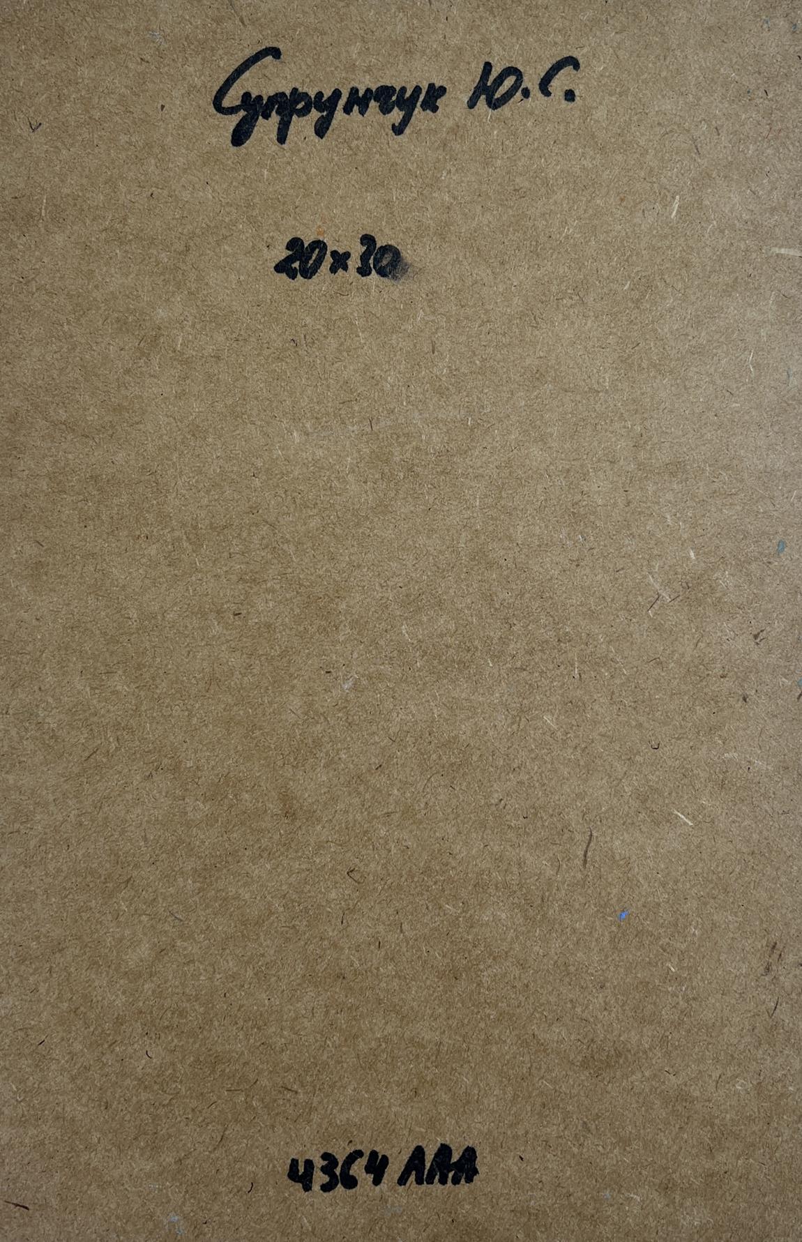Back of Yuriy Suprunchuk oil painting A quiet harbor near Venice with Cyrillic text and measurements on brown cardboard