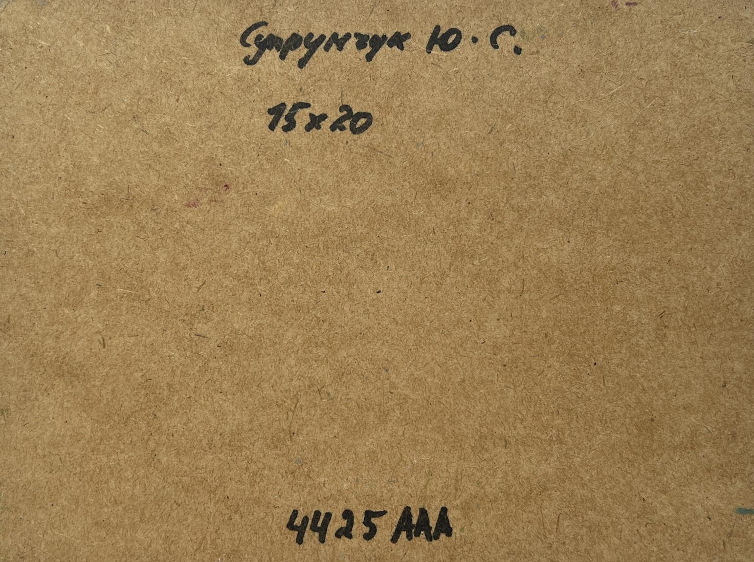 Back of Yuriy Suprunchuk oil painting A lonely house by the river with brown cardboard Cyrillic text