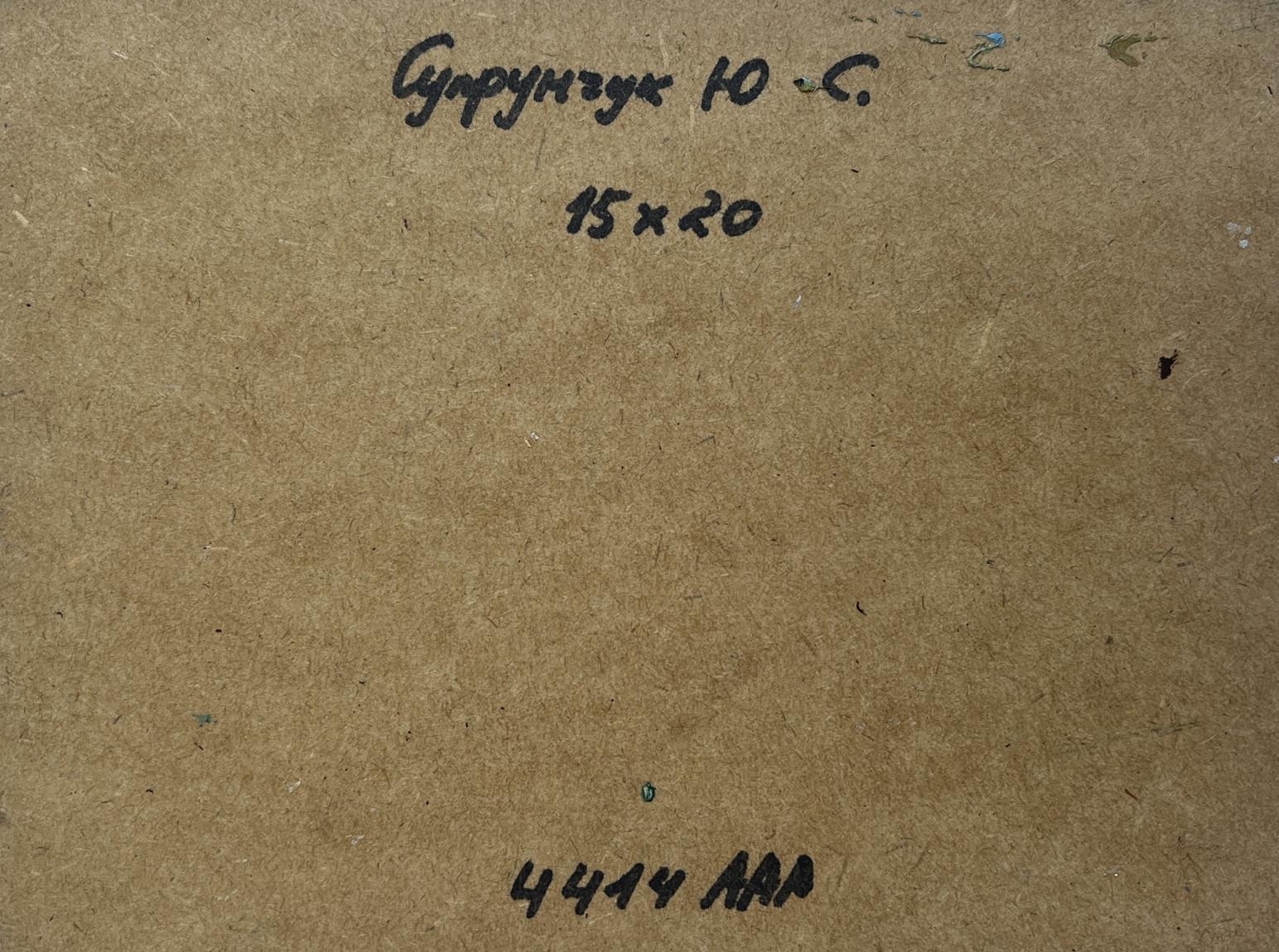 Back of Yuriy Suprunchuk oil painting The sun says goodbye to the horizon with Cyrillic text
