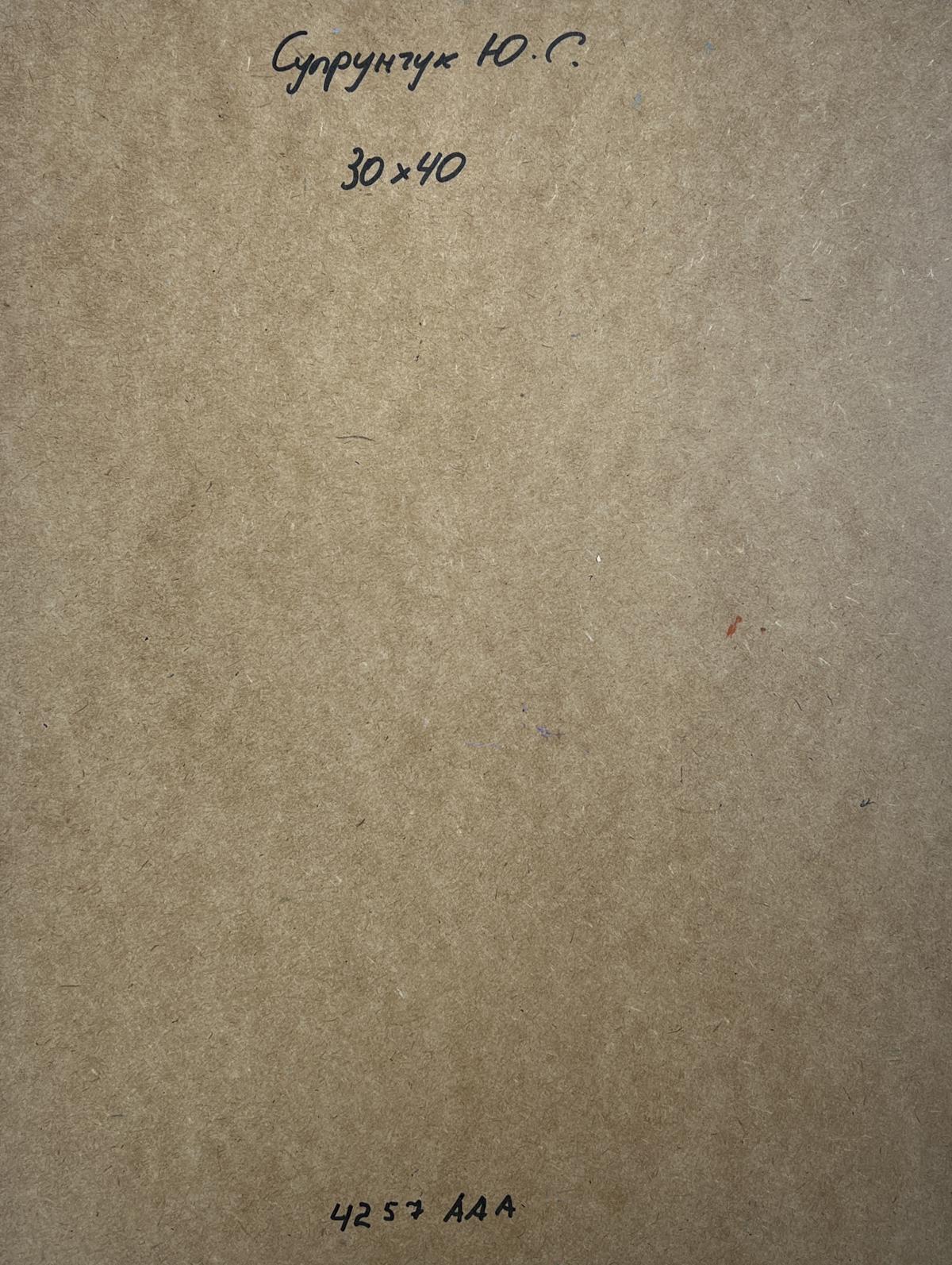 Back of Yuriy Suprunchuk oil painting City alley with river, brown cardboard with Cyrillic text and measurements