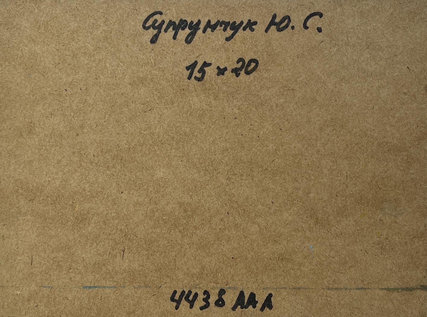 Brown cardboard backing with handwritten cyrillic text and numerical measurements.