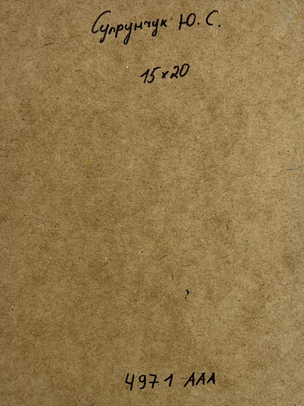 Back of Yuriy Suprunchuk oil painting Autumn city park with brown textured paper Cyrillic text and numbers