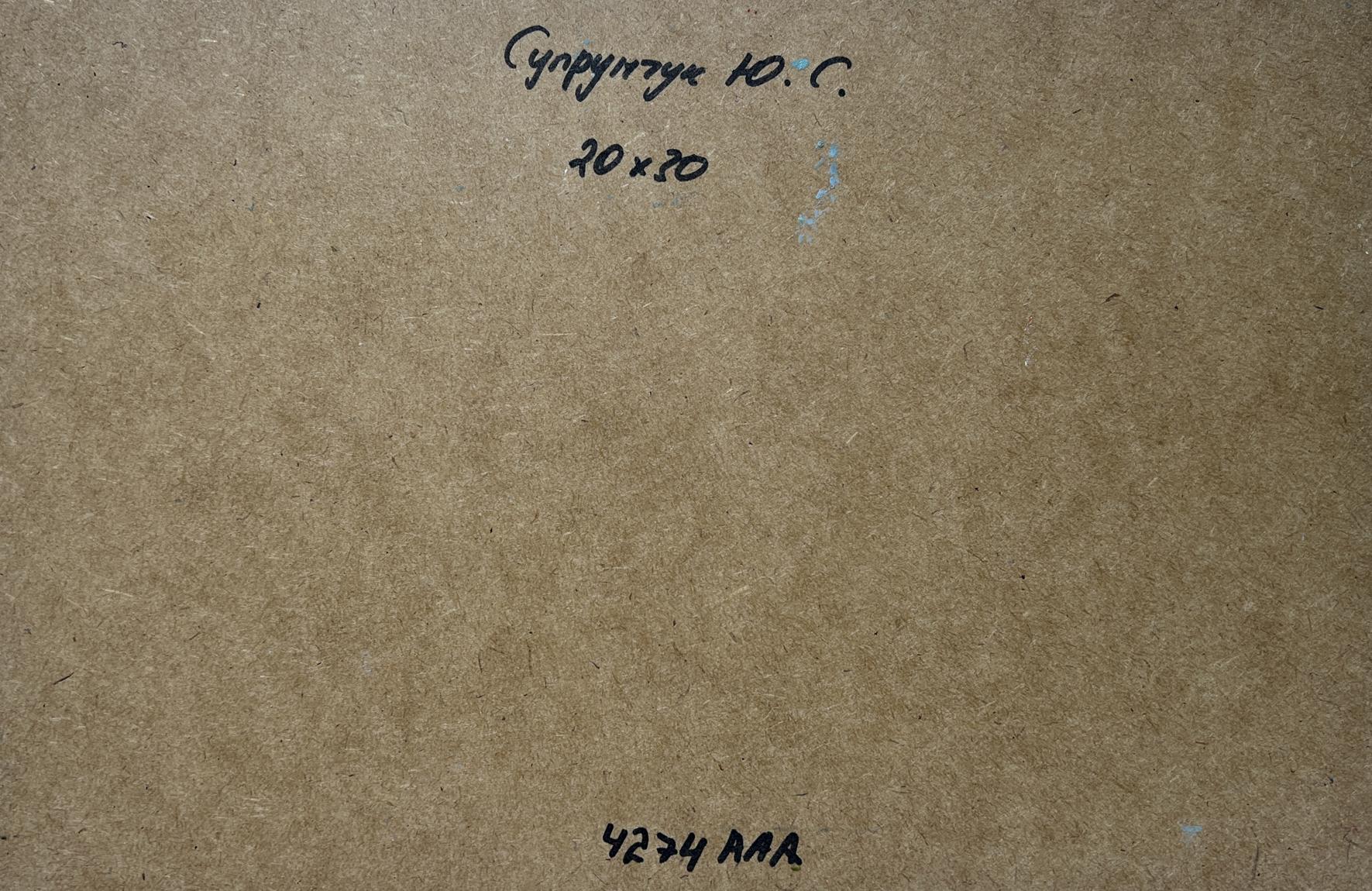 Back of Yuriy Suprunchuk oil painting Shadows of City Life with Cyrillic text