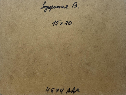 Back of V. Zadorozhnya oil painting Sounds of birds over the summer expanse with Cyrillic text