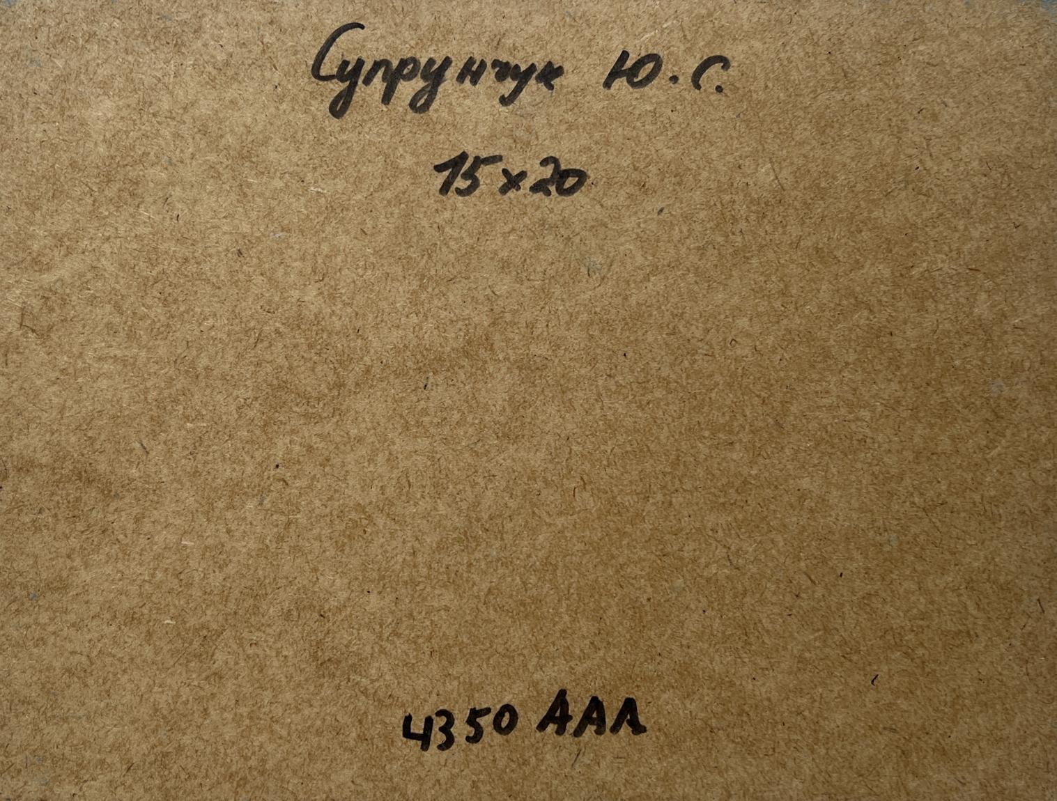 Back of Yuriy Suprunchuk oil painting Walk through the meadows with brown textured paper, handwritten Cyrillic text and measurements