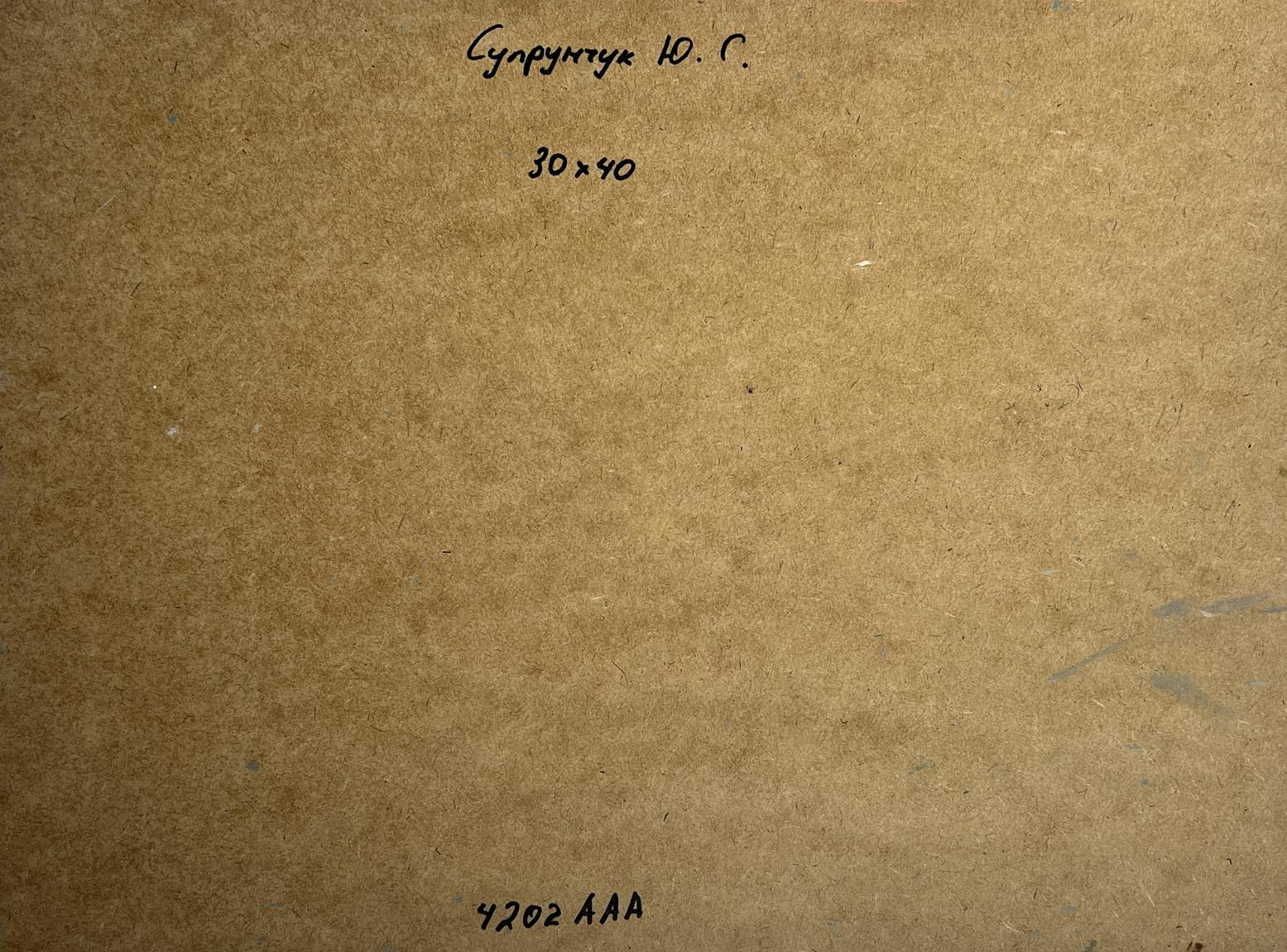 Back of Yuriy Suprunchuk Oil painting Winter breeze in the forest with brown textured cardboard handwritten markings and measurements
