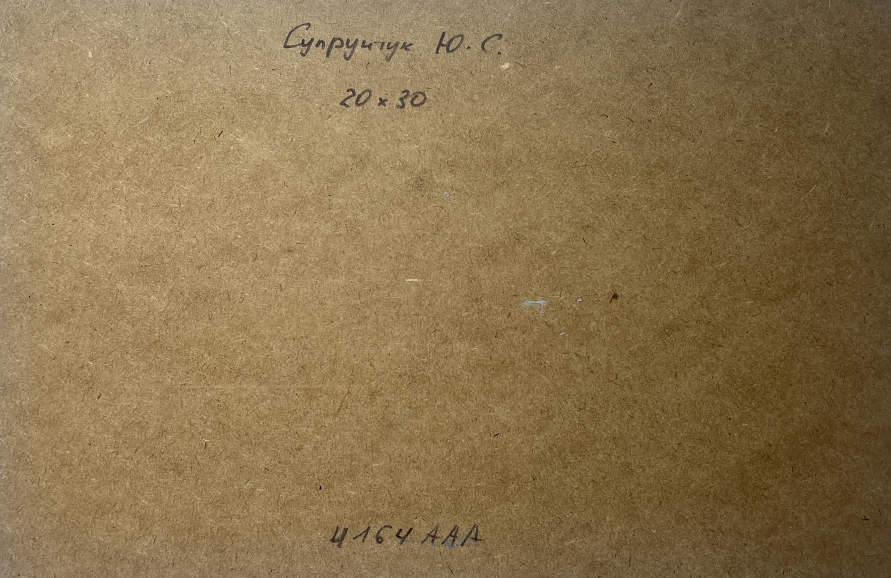 Back of Yuriy Suprunchuk oil painting Fishing among the reeds with handwritten text on brown cardboard