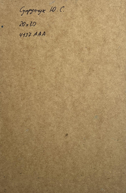 Back of Yuriy Suprunchuk oil painting Sailing holidays at sea with Cyrillic text on cardboard