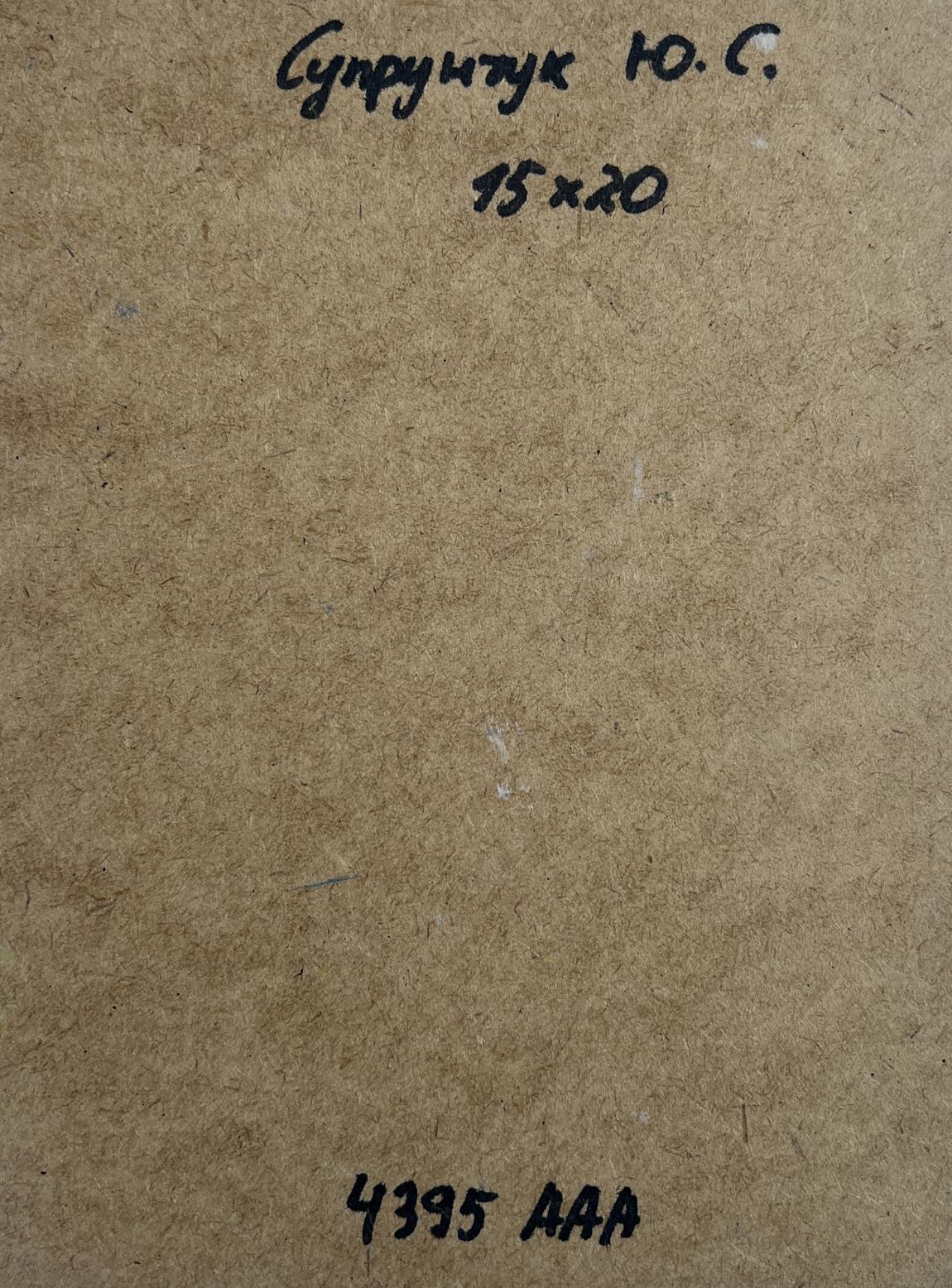 Back of Yuriy Suprunchuk oil painting Silence in nature near the lake with Cyrillic text and measurements on brown cardboard