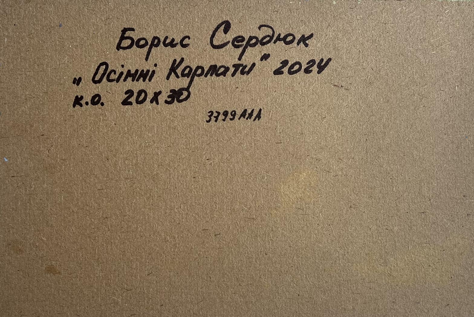 Back of oil painting Golden Mountain Fields by Boris Serdyuk, 2024 details