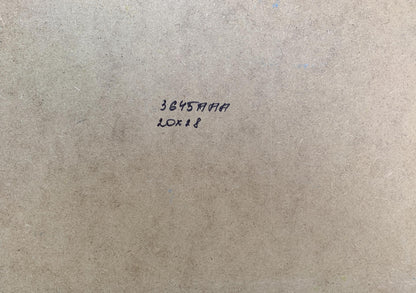Back of Yuriy Suprunchuk seagull oil painting label: 384571/6, 20x 1.8 on textured paper