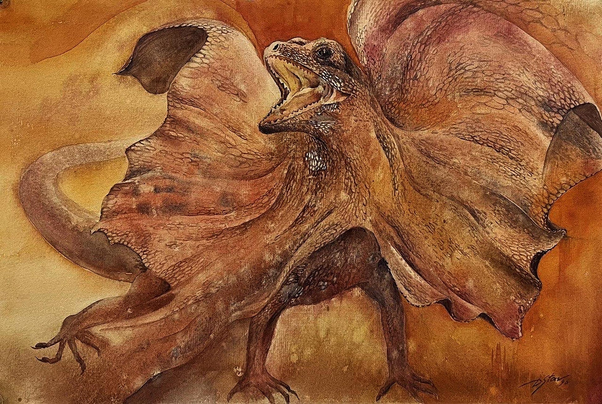 Watercolor painting of Cloaked lizard by Dmytro Startsev