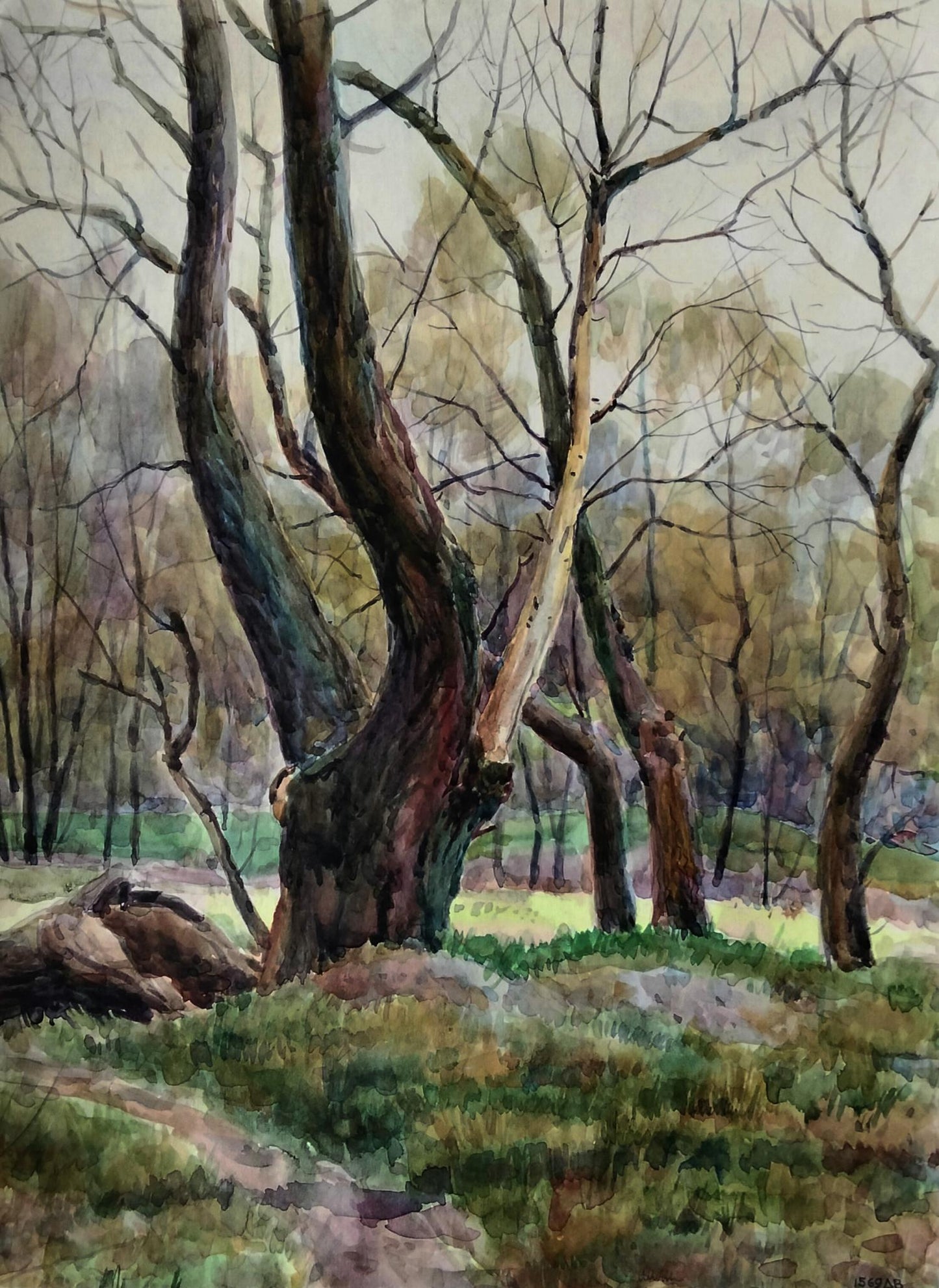 Watercolor painting of gnarled tree Silent witnesses by Vitaly Duhnevich