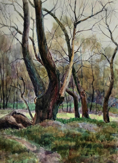 Watercolor painting of gnarled tree Silent witnesses by Vitaly Duhnevich
