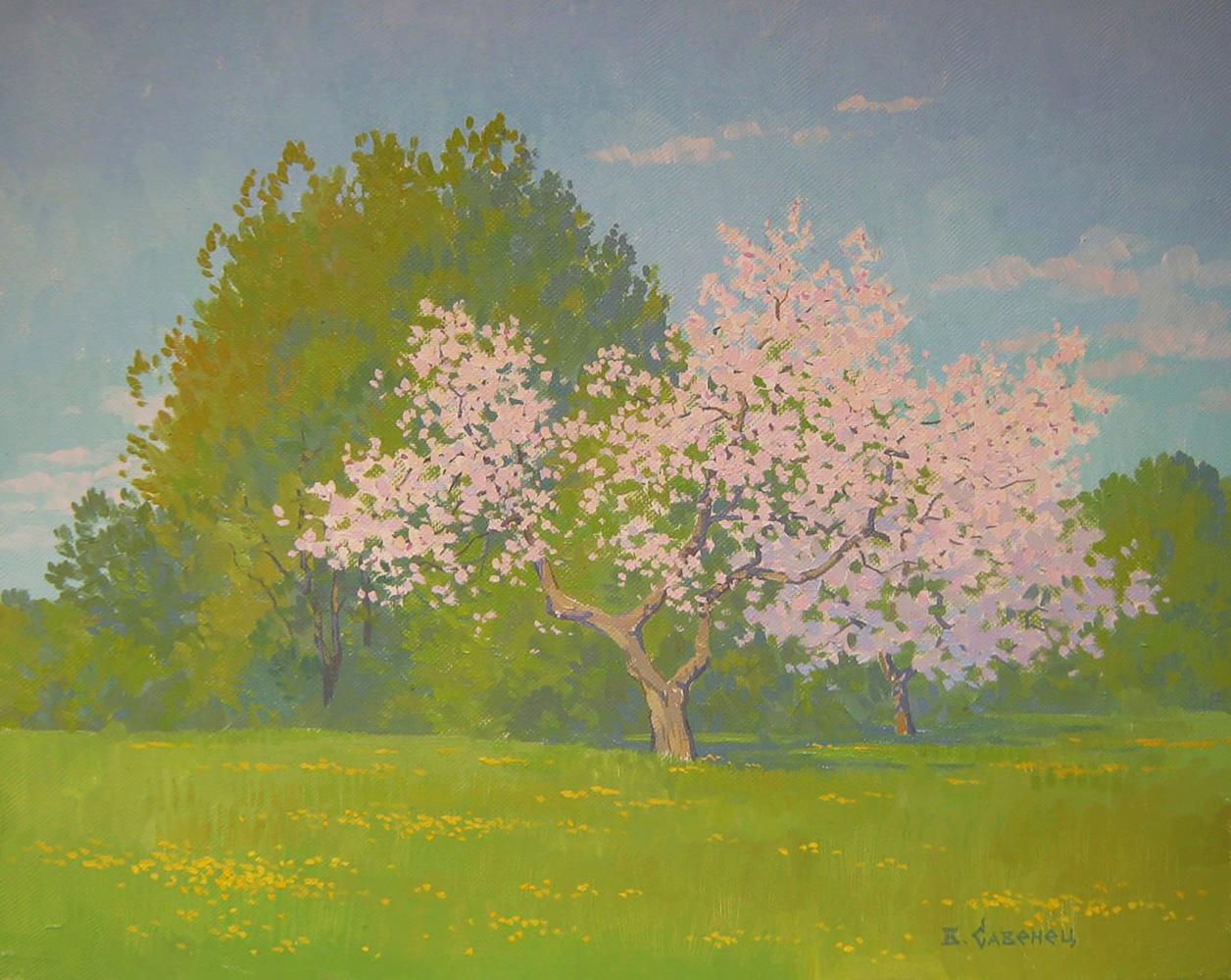 Oil painting of blooming apple tree by Valery Savenets in sunlit field