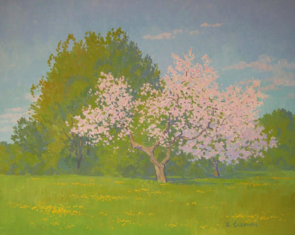 Oil painting of blooming apple tree by Valery Savenets in sunlit field