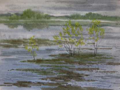 Watercolor painting The river rose in the field by Valery Savenets