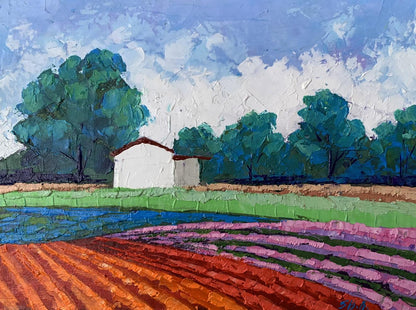 Vibrant impressionist oil painting by V. Zadorozhnya: white farmhouse with red roof among trees