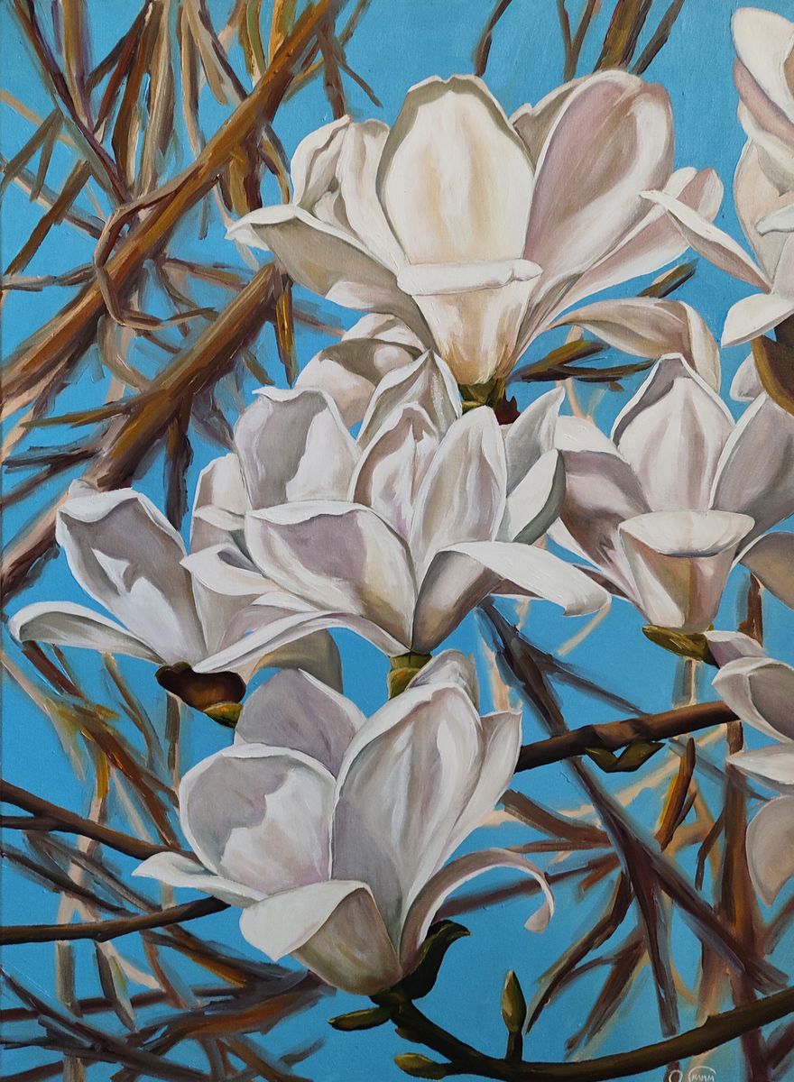 Oil painting White Magnolias Oksana Sklym with white blossoms on blue sky