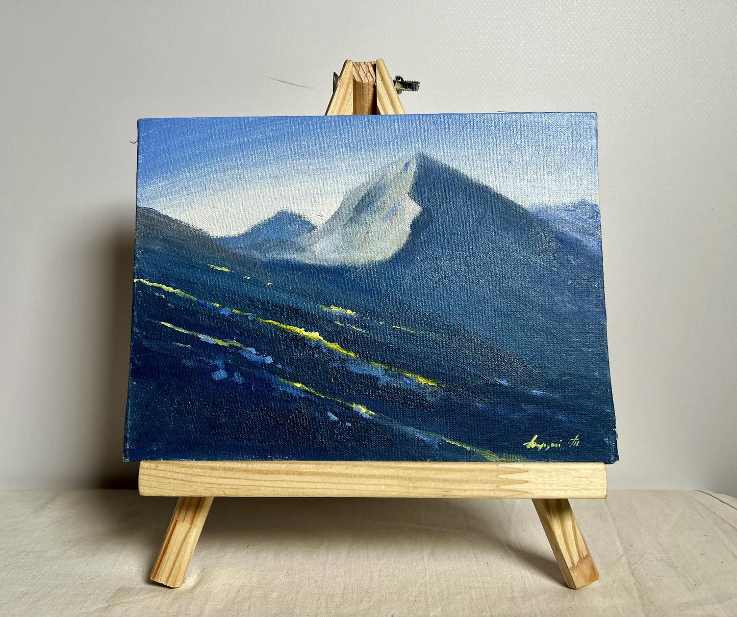 Oil painting Overlooking the snow-capped mountains by Tatyana Derdey