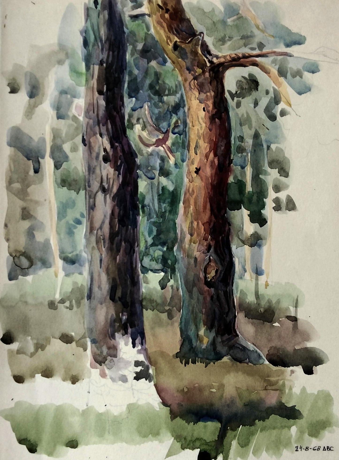 Watercolor painting of mossy tree trunks by Vitaly Duhnevich