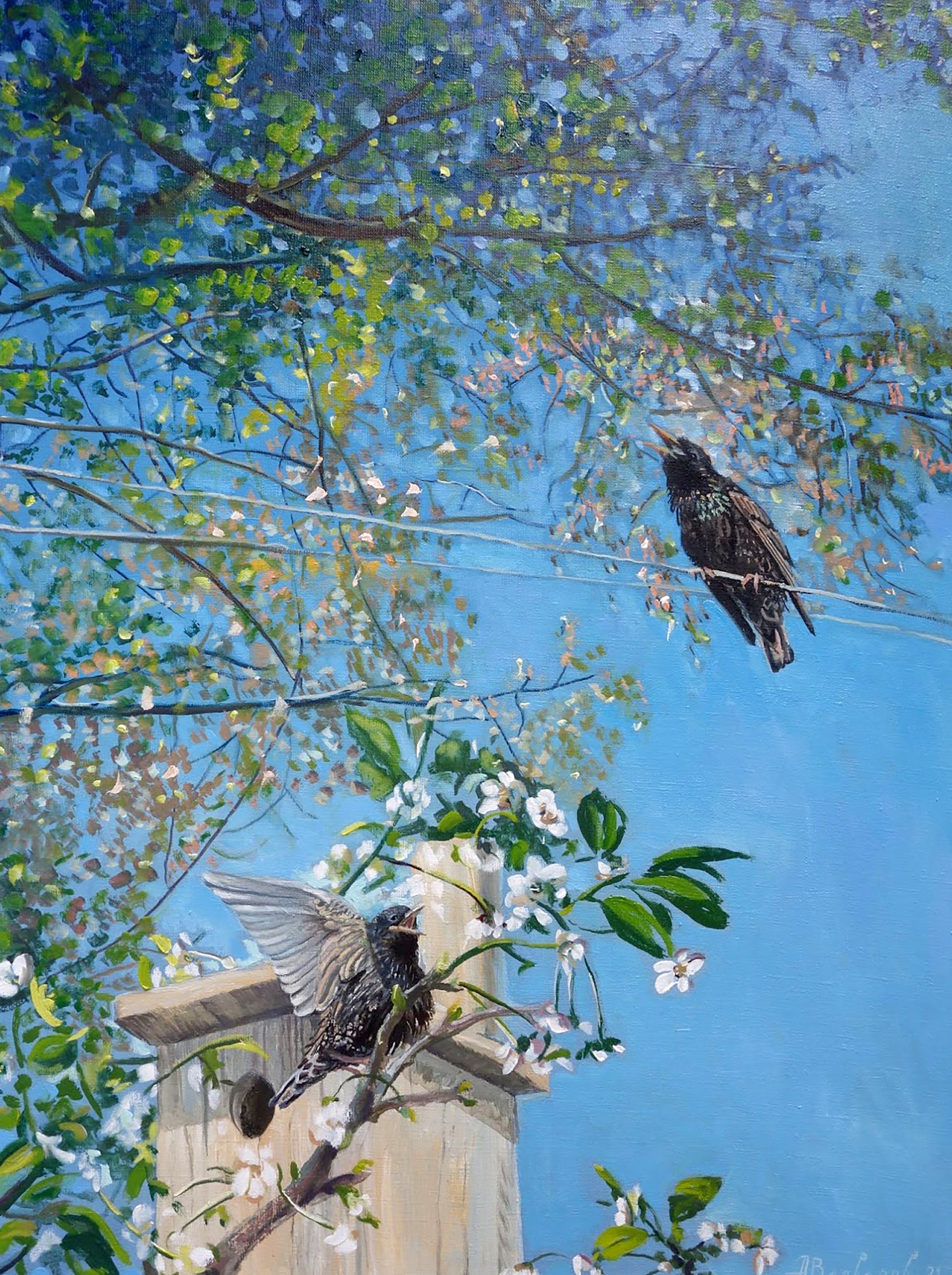 Oil painting of wooden birdhouse by Starling Varvarov Anatoly Viktorovich