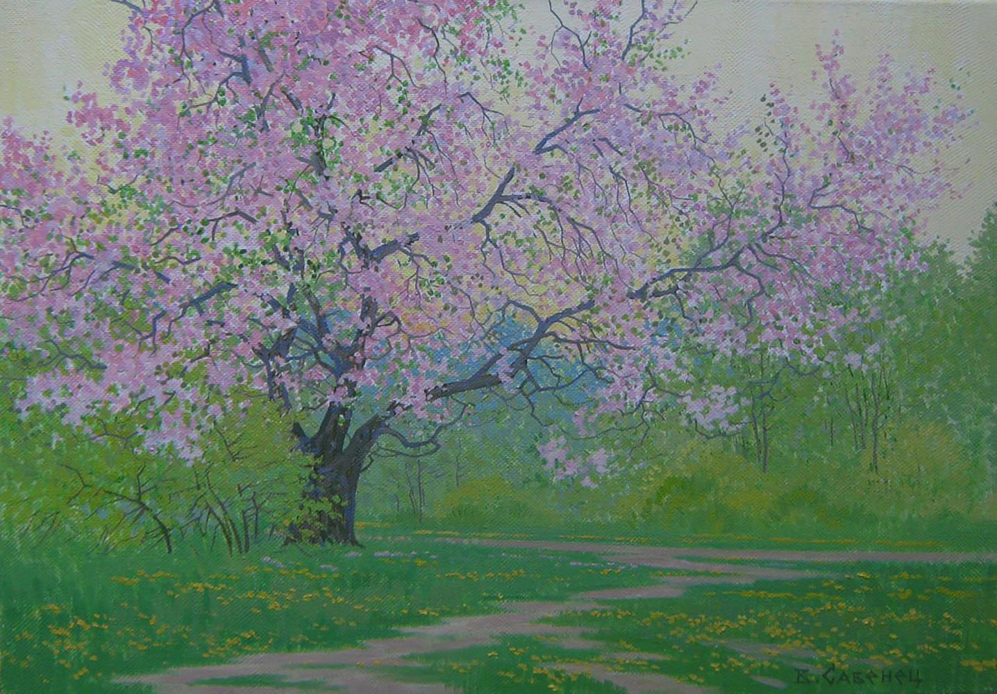Oil painting of blossoming pink cherry tree by Valery Savenets