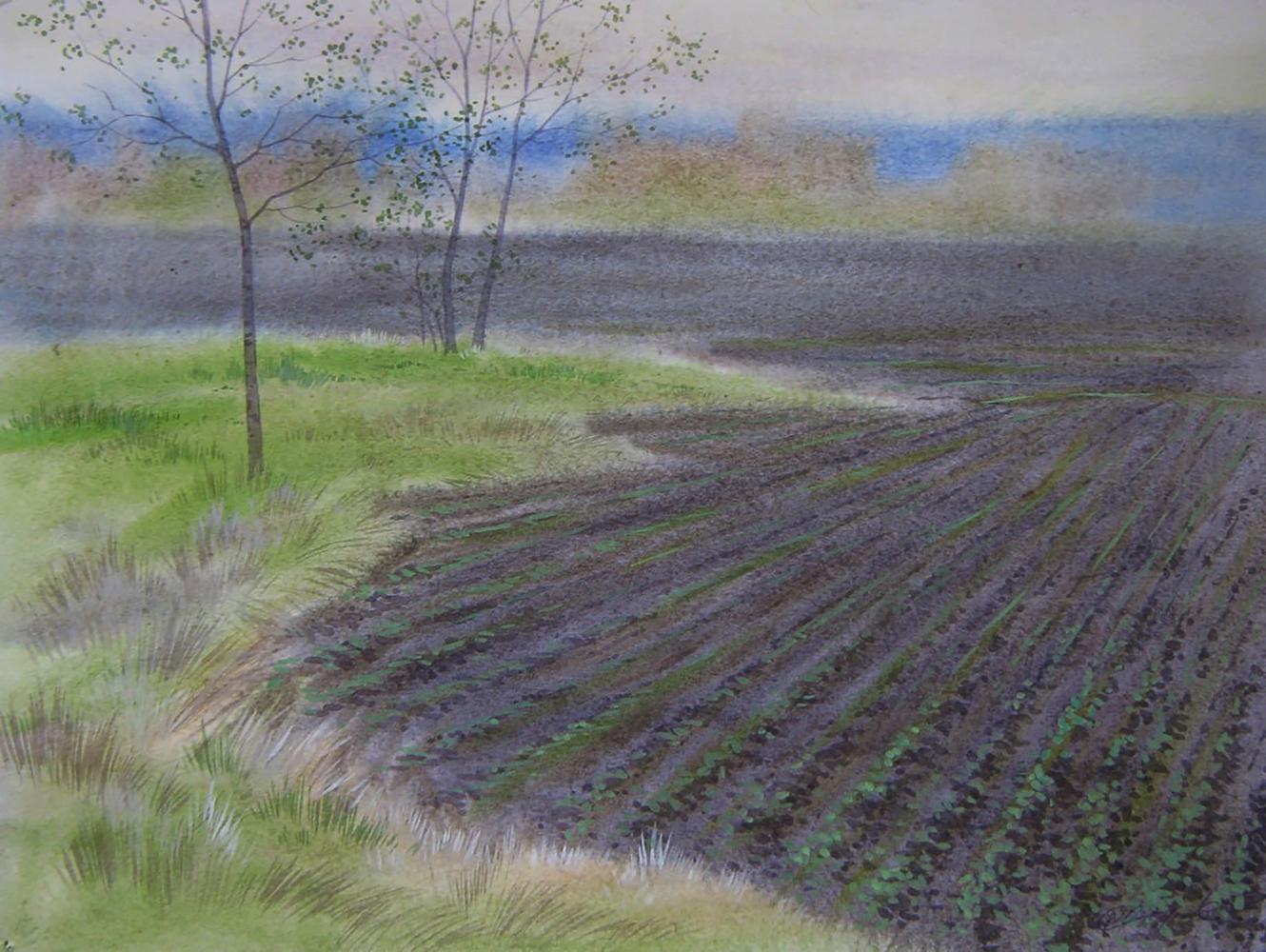 Watercolor painting of lavender spring field by Valery Savenets