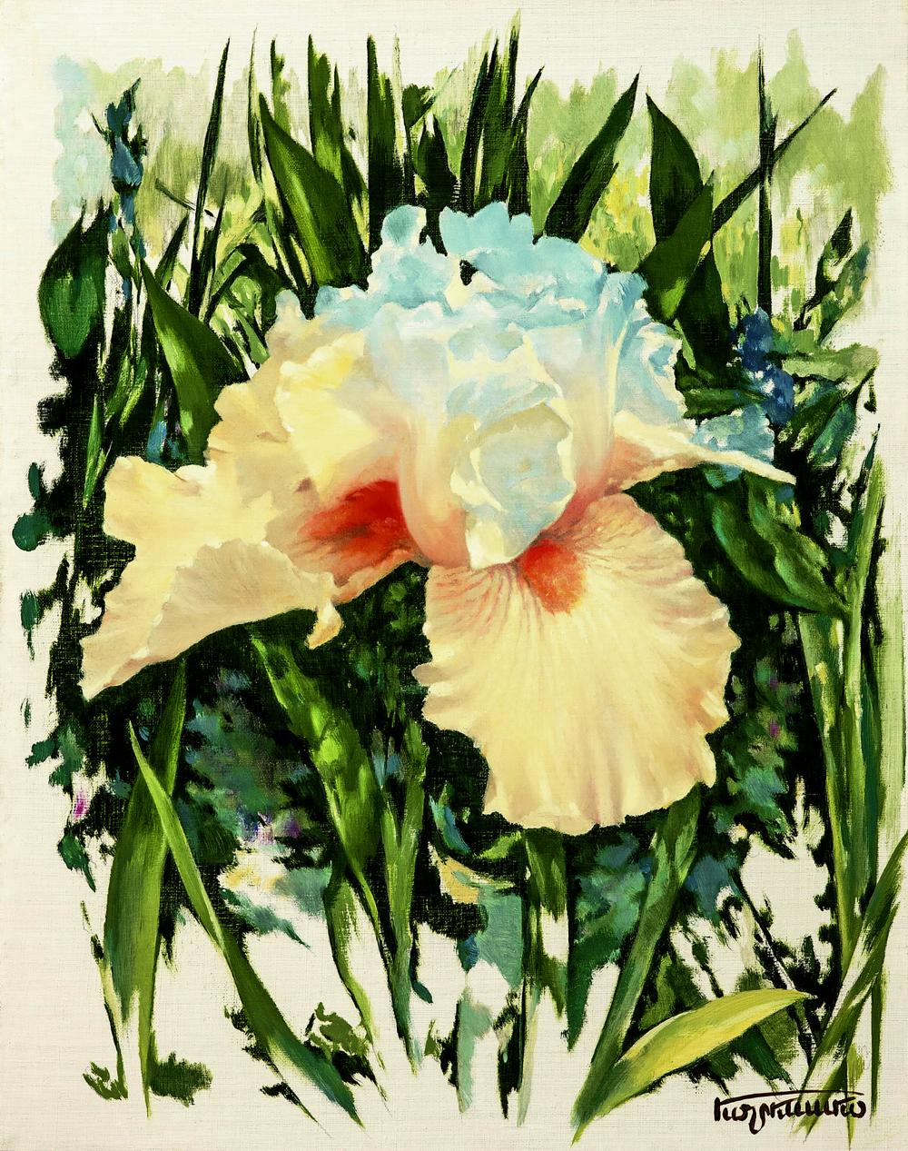 Delicate watercolor iris in pale blue and cream by Vasily Korkishko with greenery