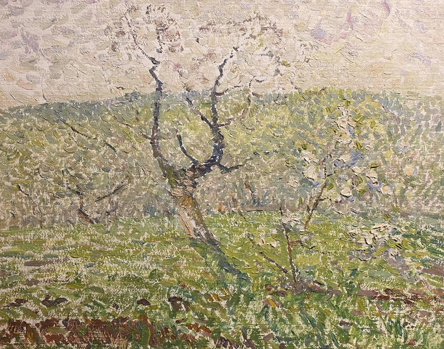 Oil painting Spring by Viktor Sevastiyanov: solitary tree with blossoms
