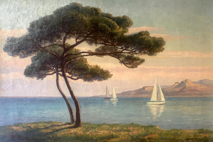 Serene Abattucci oil painting of pine over sailboats on calm waters