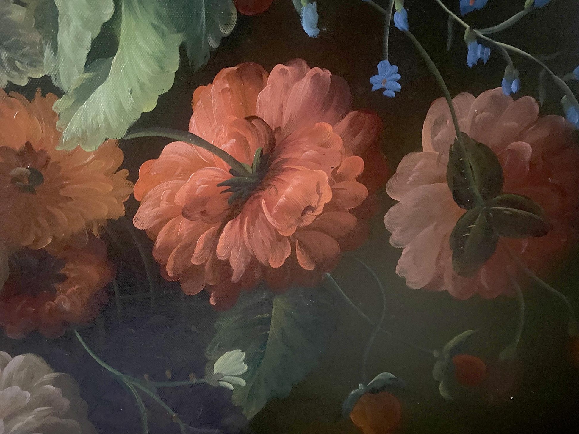 Oil painting Wildflowers Montana: vibrant coral-pink layered petal flower