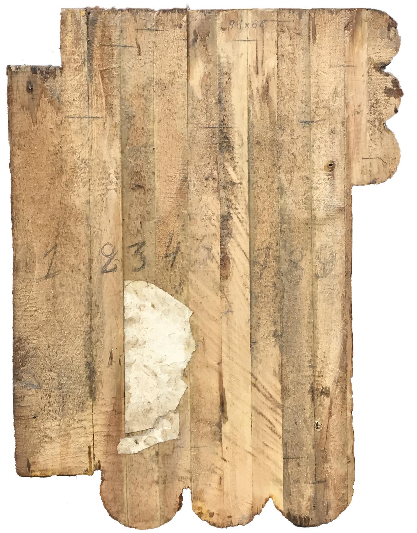 Weathered wooden panel back with grain, knots, white patch, social realism art