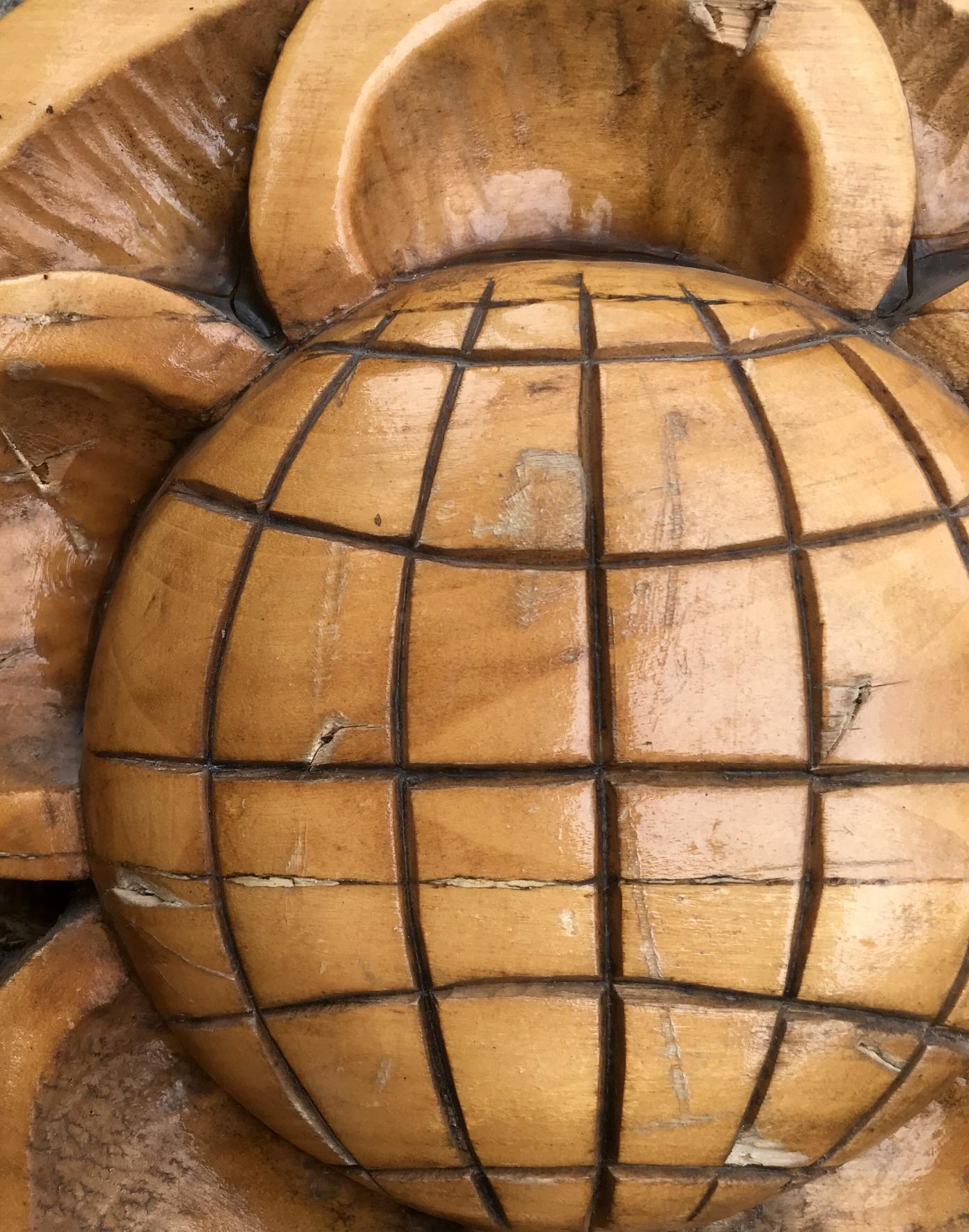 Hand-carved wooden turtle with globe shell in social realism science design