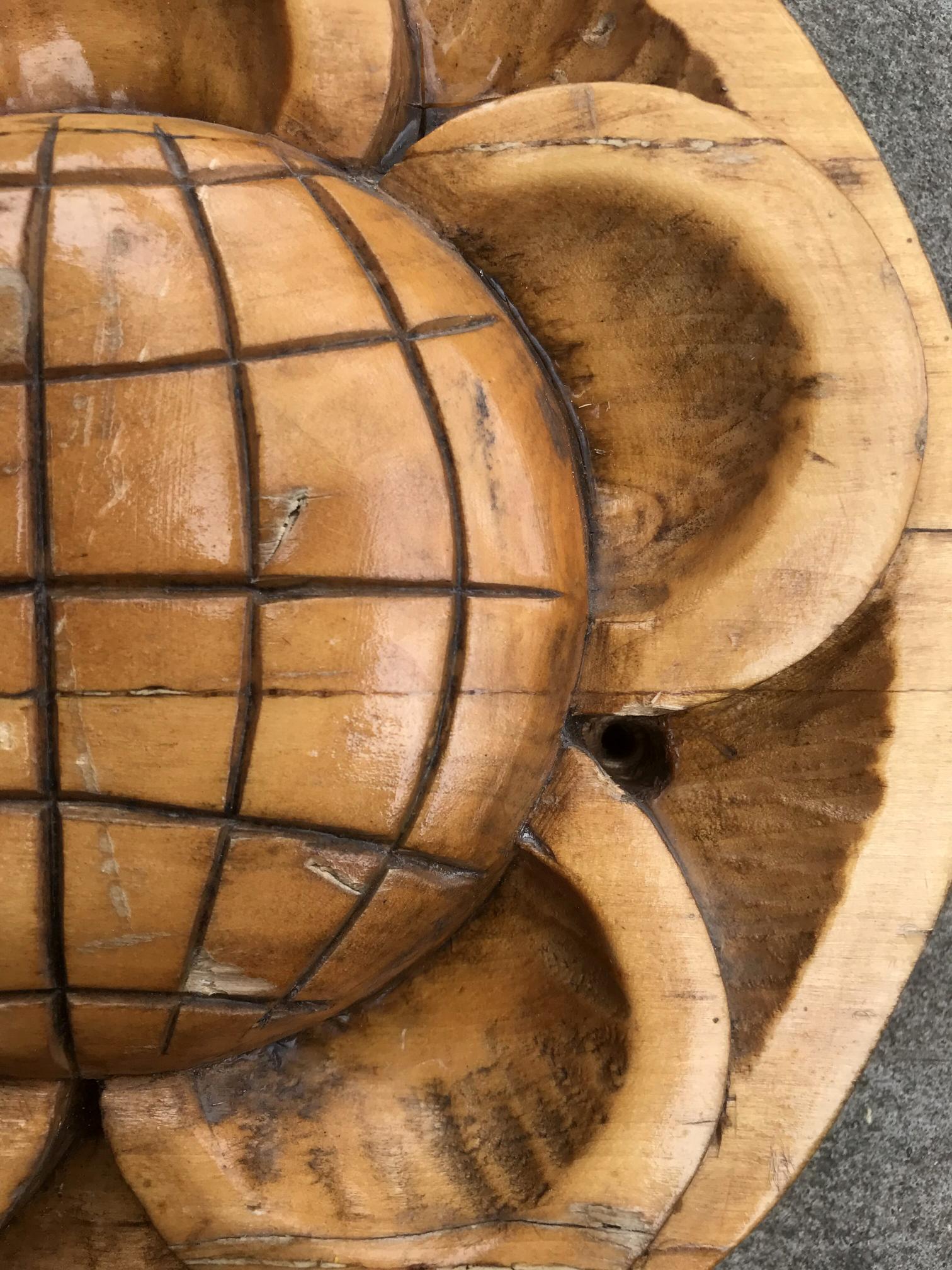 Hand-carved wooden turtle with grid shell in Social realism Science design