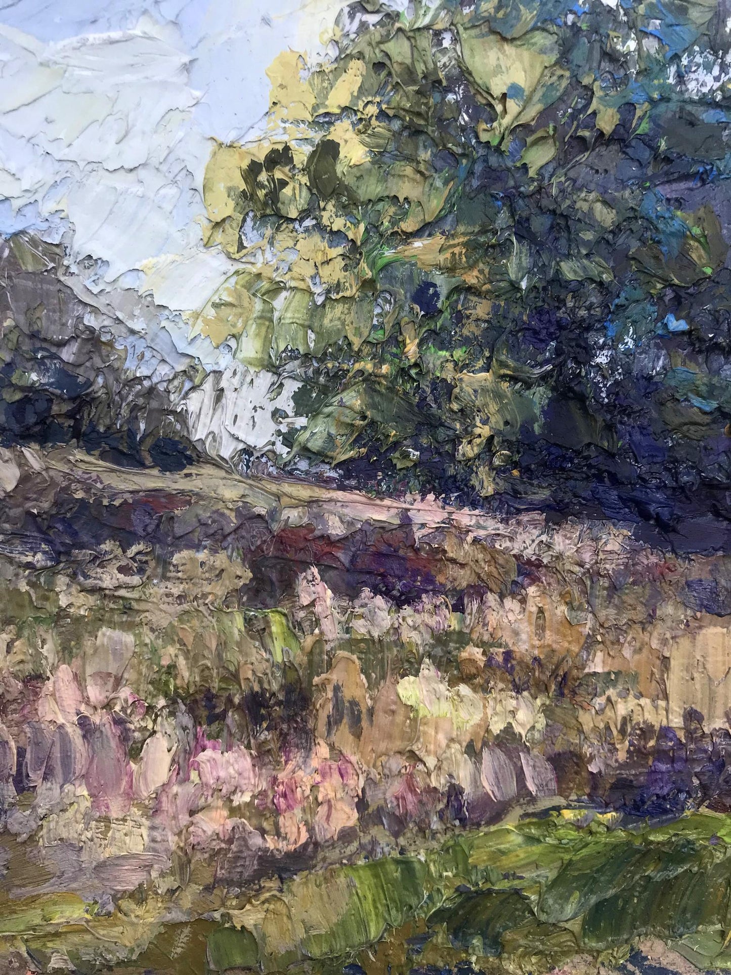 Nature Landscape 