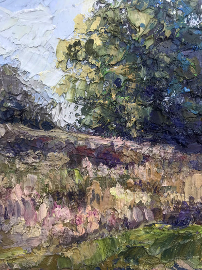 Nature Landscape 