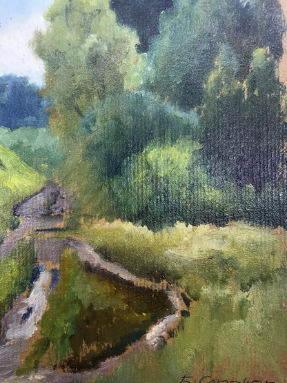 Forest landscape