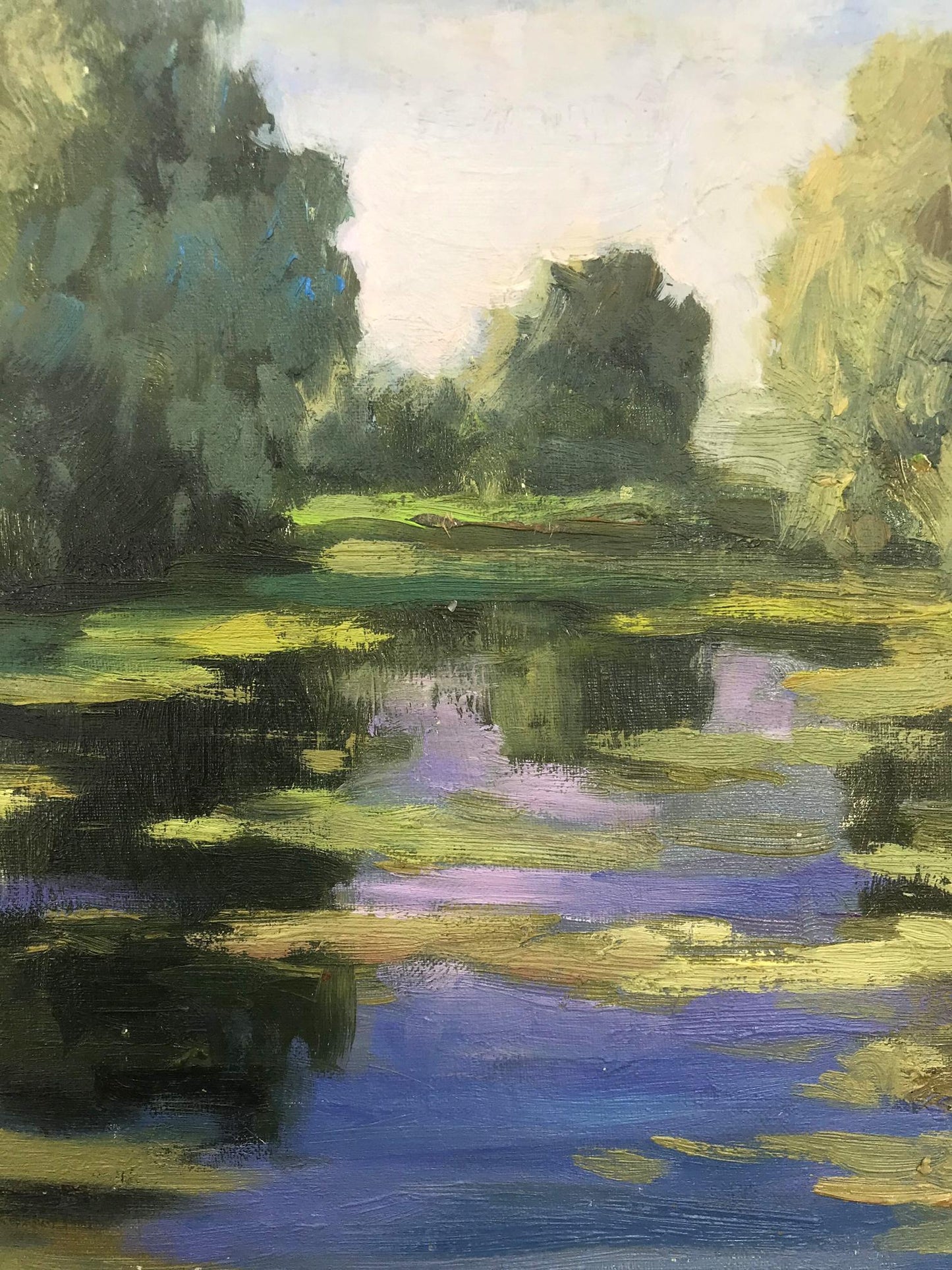 Nature Landscape 
