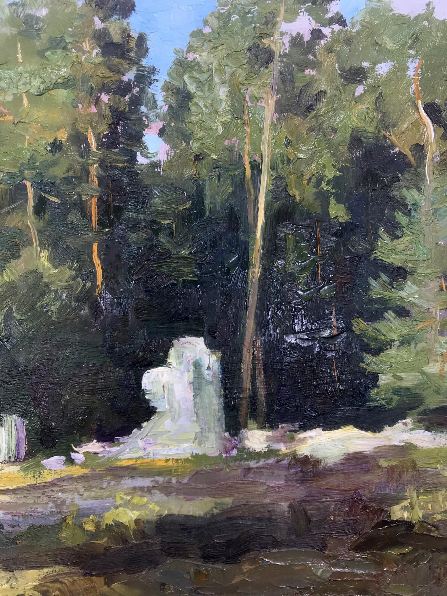 Forest  Nature Landscape