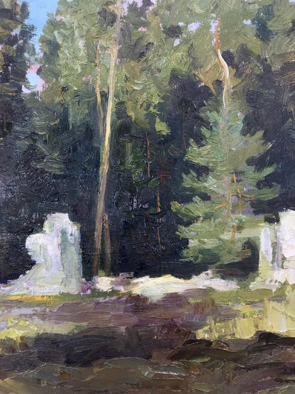 Rural landscape 