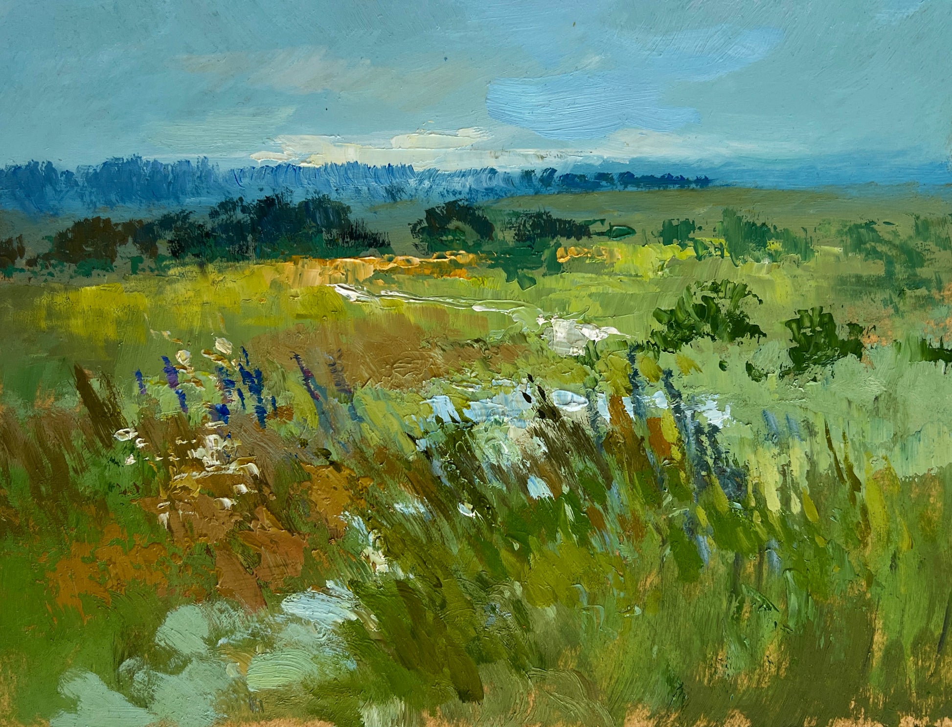 Vibrant impressionist meadow painting by Yuriy Suprunchuk fine art
